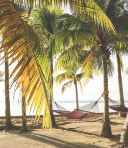 Beachside view with hammocks between palm trees, perfect for relaxation in a tropical setting
