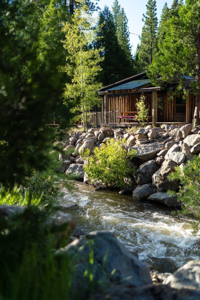 Secluded California forest cabin beside a flowing creek