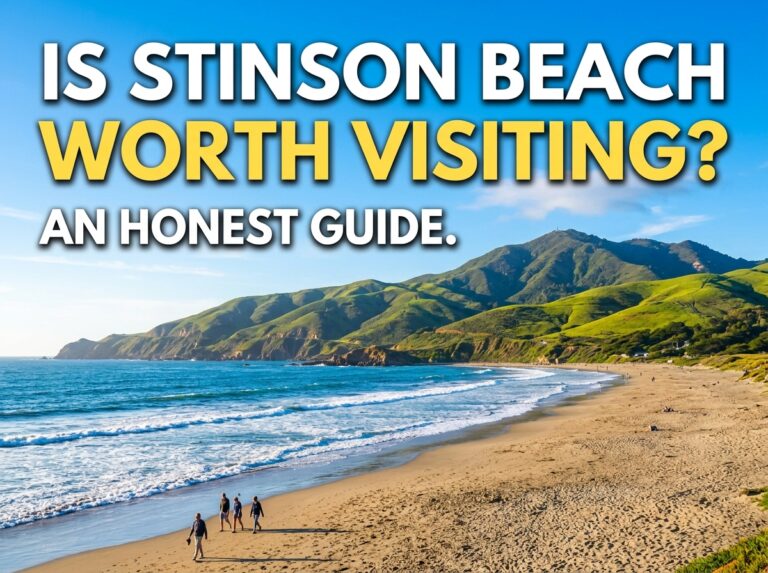 Is Stinson Beach Worth Visiting? An Honest Guide